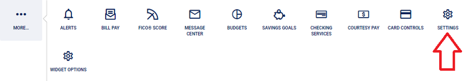 Screen capture showing the settings icon